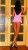 ankara escort