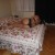 Ankara Dikmen Bayan Escort Sudenaz - Image 3